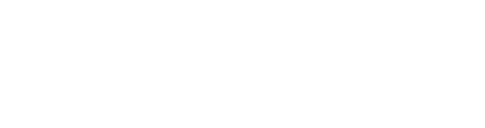 Drew Lewis Foundation